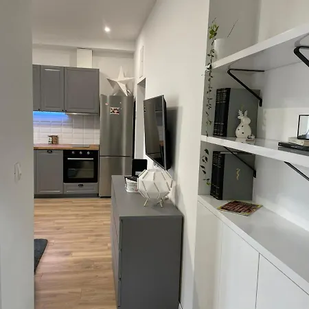 Apartment In Center 2